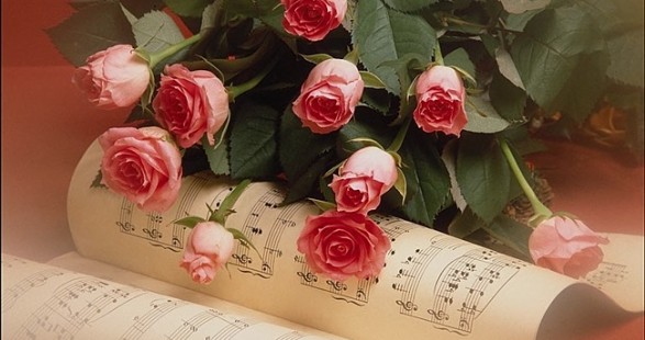 dan žena, dan žena, blagdan, Muškarci i žene, dan žena, Ženska kvota, feministički problem, dan žena