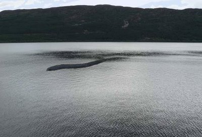 Nessie, čudovište, Loch Ness