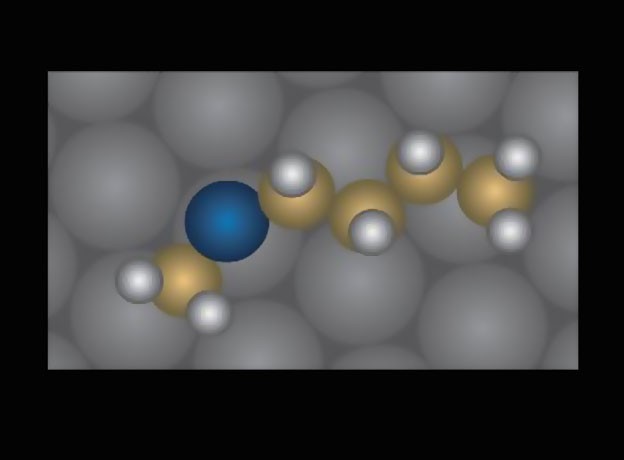 pluća, zdravlje, znanstvenici