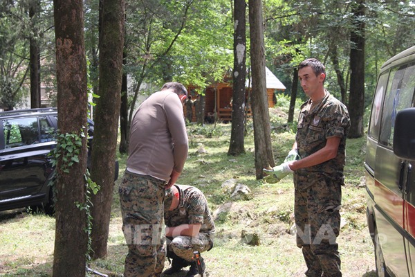 oružane snage bih, prijem