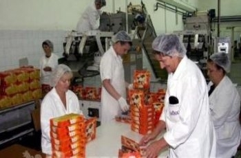 lasta, dionice, Čapljina