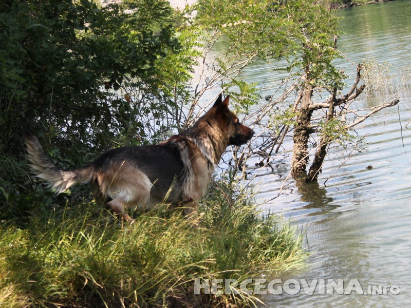 pasije-vrucine-u-hercegovini
