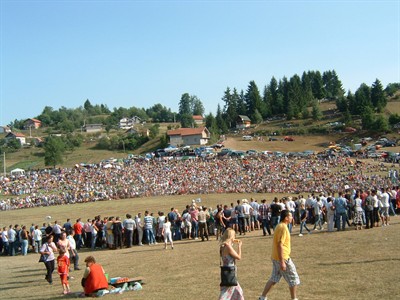 korida, bikovi, Bosna