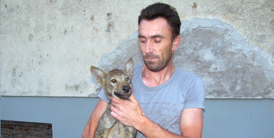 vuk, lovac, Trebinje