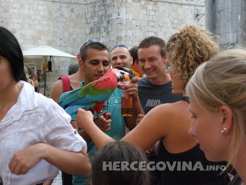 na-stradunu-papagaji-gase-zedj-ledenim-cajem