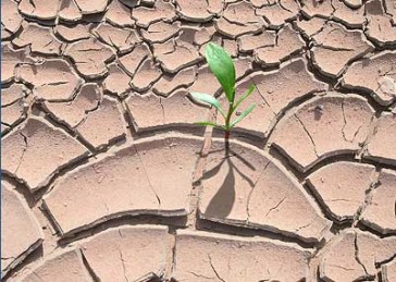 suša, voda za piće, voda, indija, Duvanjsko polje, suša, klimatske promjene, Trebinje