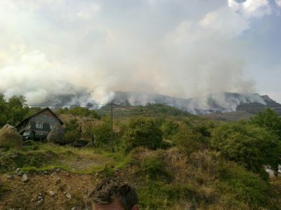 požar, Doljani, Sovići, požari, Hercegovina, šteta