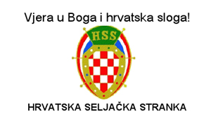 Emil Karamatić, hss bih, HNS, hss bih, hss bih, HDZ 1990