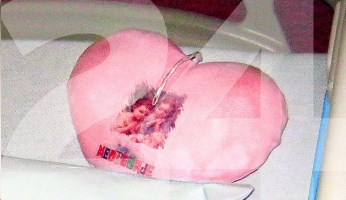 Stephanie Milda, srce, Međugorje