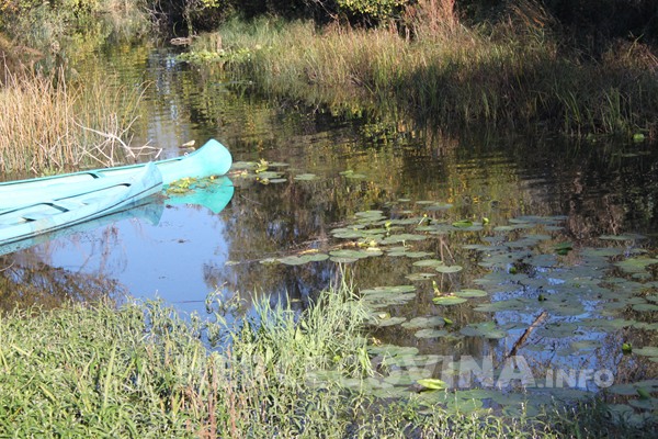 Hutovo blato, Mogorjelo, konferencija, hotel mogorjelo, ptičje vrste, očuvanje i valorizacija