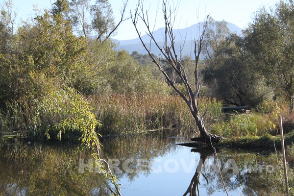 Hutovo blato, Mogorjelo, vremenska prognoza, vremenska prognoza, vremenska prognoza, vremenska prognoza, vremenska prognoza, vremenska prognoza, vremenska prognoza, vremenska prognoza, vremenska prognoza, vremenska prognoza, vremenska prognoza, BIH, vremenska prognoza, vremenska prognoza, foto priča, Hutovo blato