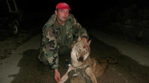 Drinovci : Jure ubio vuka, dok je ovaj jeo njegovog psa