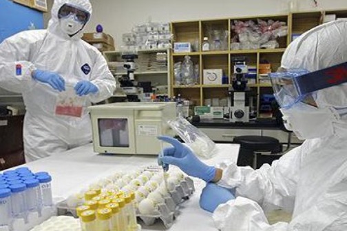 virus, AH1N1 virus, zenica