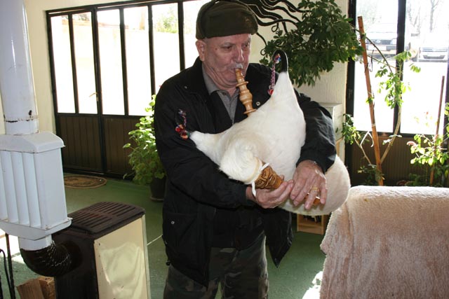 antas mucić, in memoriam