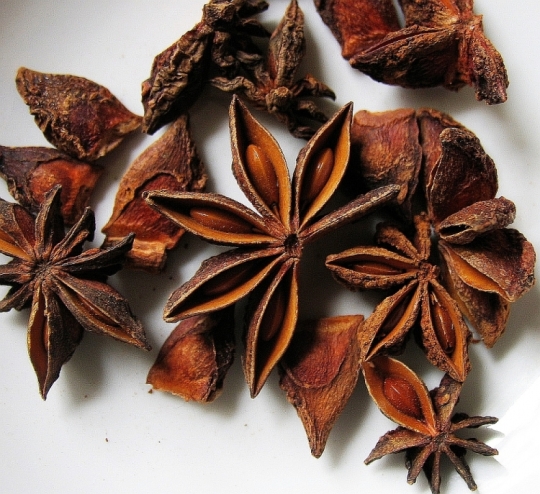 čisti krv, umiruje grčeve, Ljekovito djelovanje, anis, jača živce