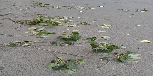 vrijeme u BIH, vremenska prognoza, Trebinje, CJB Trebinje, Centar javne sigurnosti Trebinje, nevrijeme