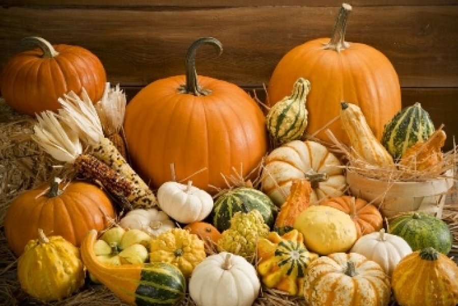 vitamine A, namirnice bogate vitaminom A, bundeva, jesen