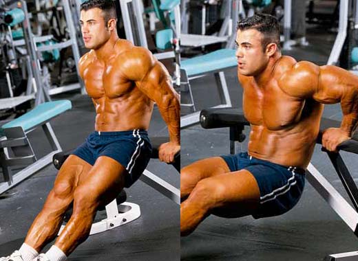 sklekovi, standardni sklekovi, tjelovježba,  vježbe za prsa