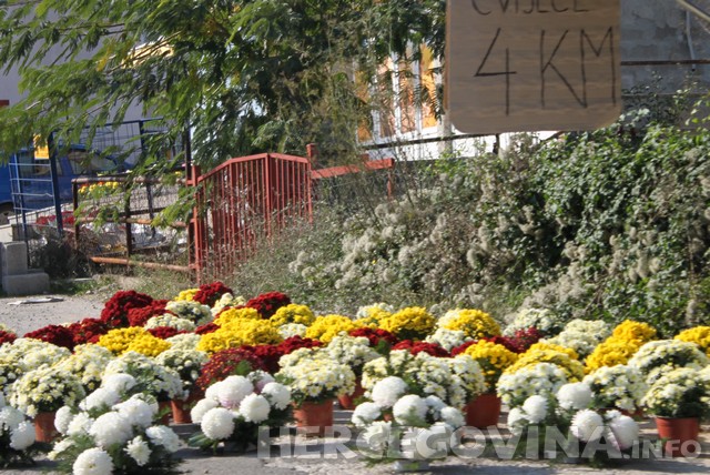 cvijeće, Dan mrtvih, Dušni dan