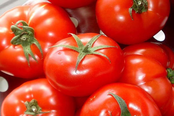 paradajz, likopen, zdravlje, rajčica, zdravlje, paradajiz, hrana, ljeto, voće, paradajiz, dijeta, mršavljenje uz trening, namirnice, kuhanje, zdravlje, rajčica, pluća, Zaštita od raka pluća, savjeti, jestivost, povrće, rajčice  , paradajiz