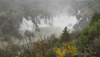 kravica, ljeto, jesen