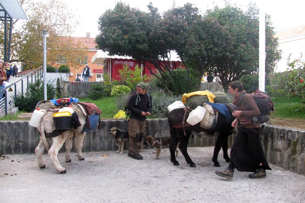 francuzi, Trebinje, magarci