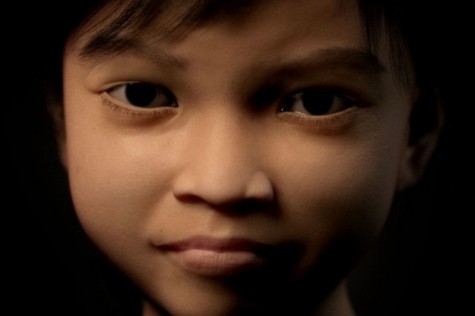 pedofilija, virtualni svijet, identifikacija