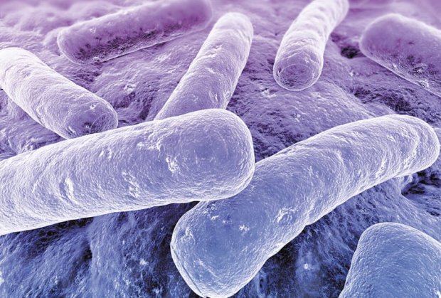 superbakterija, enzim NDM-1, indija, Srbija, mladić, bolest, RAK, bakterija, bebe, smrt, bakterija, istraživanja, tumor
