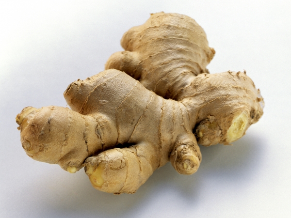 đumbir, ljekovito bilje, ljekovita svojstva, tropska začinska biljka, izbacivanje toksičnih materija, Antiseptik, afrodizijak, smanjuje mučninu, za poboljšanje cirkulacije, lijek za prehladu