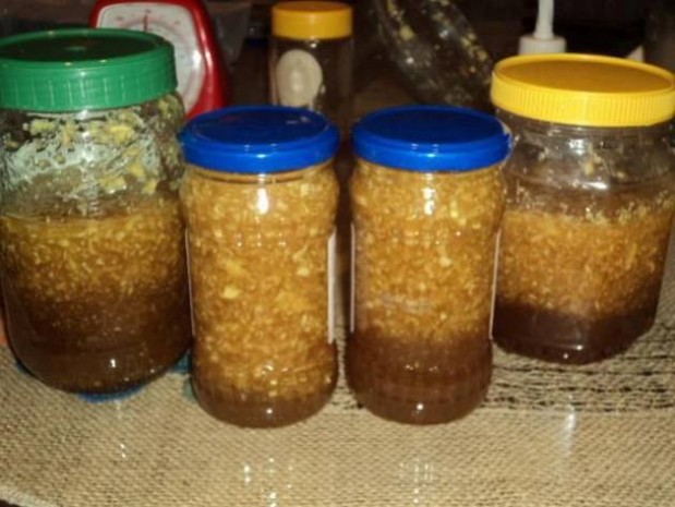 đumbir, med, lijek, recept, đumbir, med, lijek