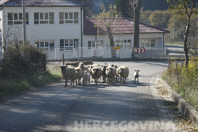 putopis, Neum, svitava