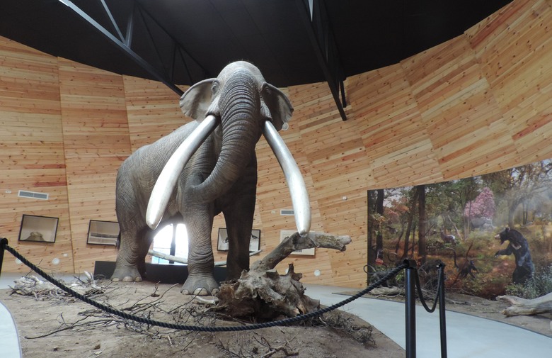 praslon, Tomislavgrad