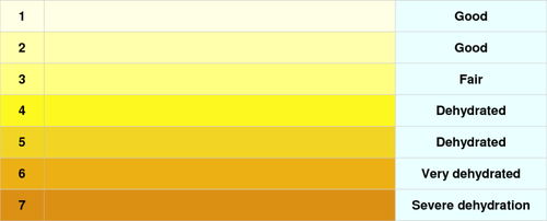 urin, bilirubin, hemoglobin, promjena boje urina, urin, boja, bolesti