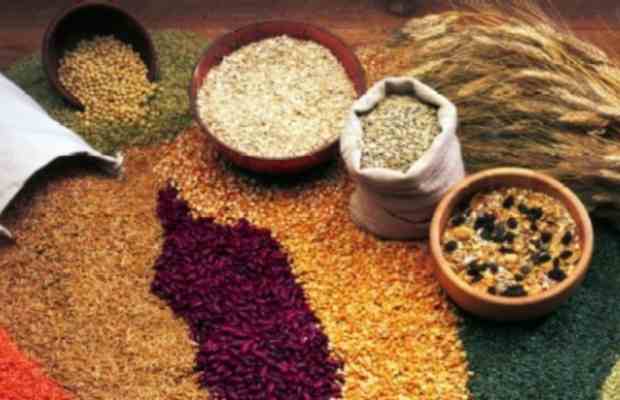 Topiva vlakna, cjelovite žitarice, sjemenke, Zdravstvene dobrobiti, ljekovita svojstva, orašasti plodovi, snižavaju razinu šećera