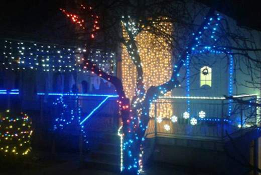 raštani, svijećice