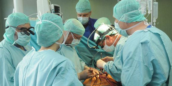 embrij, krijumčari, krijumčarenje, BIH, skandal, operacija, bolnica, uzbuna, Neum, Stolac, plavi jezik