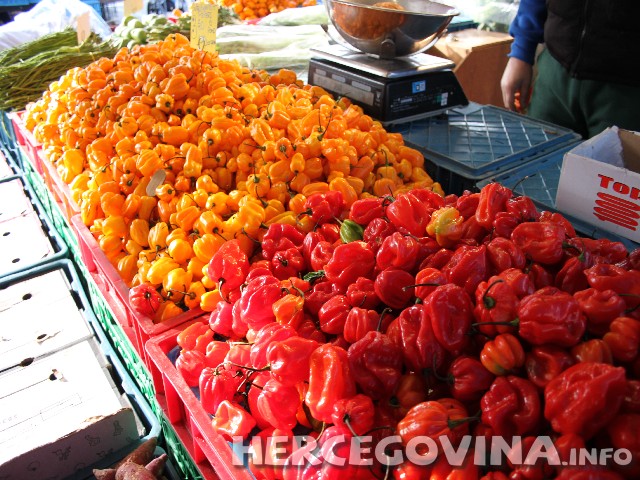 Nizozemska, organizacija Oxfam r, hrana, Den Haag, tržnica, veletržnica, cijene, paprika, parkinsonova bolest, simptomi, ukočenost, nestabilnost., drhtanje tijela, čili paprika, feferon , Carolina Reaper paprika, paprika habanero,  mjeri se Scovillovom skalom, ljutina paprike, ljute papričice, ljuta hrana, paprika, marmelada