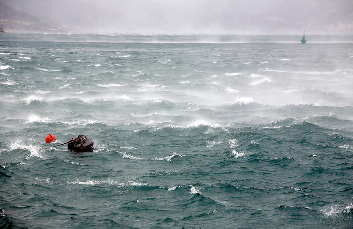 bura, klimatske promjene, temperature vode, jadransko more, Damir Viličić, Profesor PMF-a Sveučilišta u Zagrebu, Globalne promjene