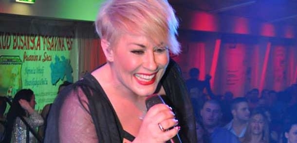 Beč, Karnevalska noć Posavljaka, KUD-a Bosanska Posavina Beč, colonia, KUD Posavina Beč, veleposlanik Republike Hrvatske u Beču, Gordan Bakota, colonia