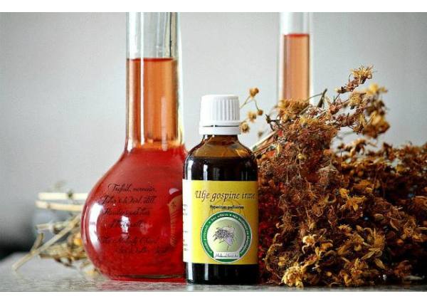 gospina trava, kantarion, liječenje površinskih rana, opekline, depresija, gospina trava, ljekovita svojstva, ljekovito bilje, Ulje od Gospine trave, Čaj od Gospine trave, nemiran san, histerične napade, mokrenje u postelju, depresije