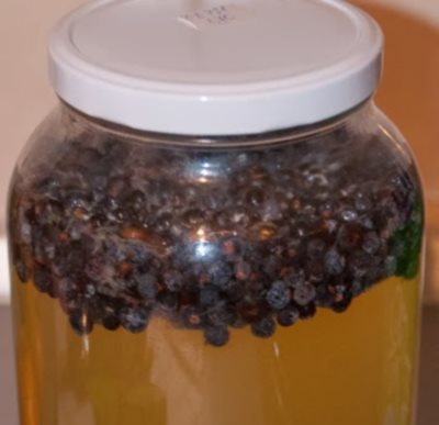 sok od smreke, ljekovito bilje, šećerna bolest