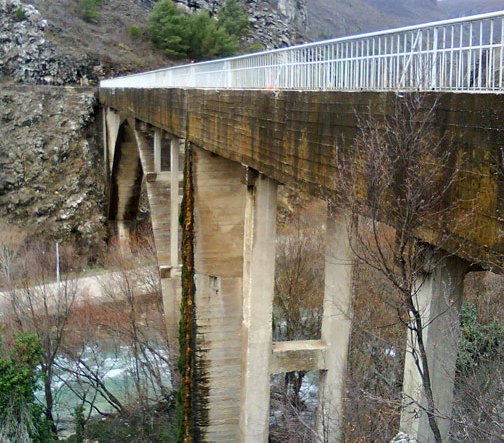 Široki Brijeg, Općina Široki Brijeg