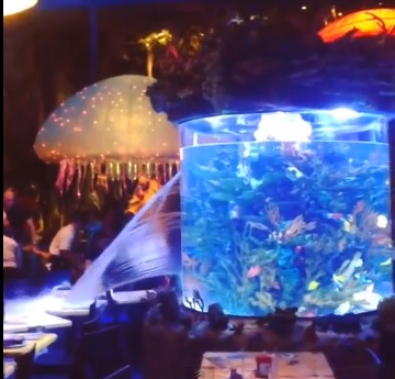 akvarij, voda, restoran