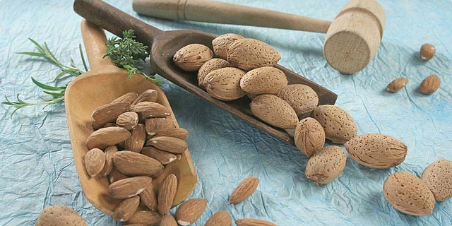 badem, koštice, Ljekovito djelovanje, Energetska vrijednost, živčanog sustava, umirenje, pučka medicina, štitna žlijezda, u liječenju astme, čir na dvanaestercu, u kozmetici, lijek, glavobolja, bademi, hrana, siječanj