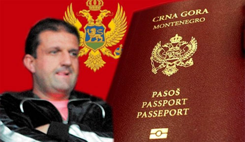 Darko Šarić, Uhićen, organizator trgovine drogom, crna gora, 39 članova Šarićeve skupine, srbijanska sigurnosna agencija BIA