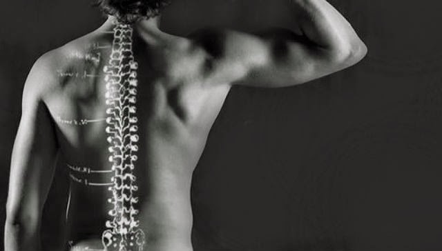 Hernija diska, ukočenost, slabosti u ruci ili nozi, simptomi hernija diska, utrnulost, Fizioterapeut, lijekovi, Križobolja, Medicinski tretmani, bolovi u leđima, kralježnica, Bolna kralježnica, osteoporoza, Spondiloza, torakalni sindrom, kralježnica, Bolna kralježnica, Polineuropatija, opstipacija, Skolioza, kralježnica