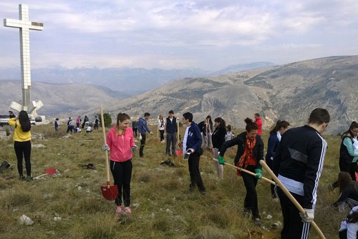 Hum, pošumljavanje, Mostar