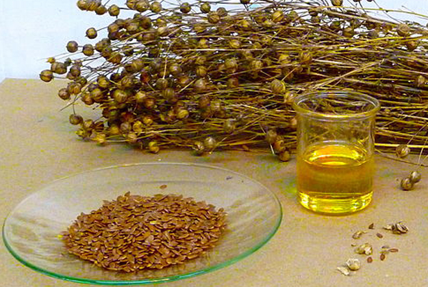 omega 3 masne kiseline, Sjemenke lana, Laneno ulje, obiluje hranjivim supstancama, antioksidansi, vitamin B6, vitamin B-17, srčana oboljenja, zdrav i za srce, alfa-linoleinske masne kiseline
