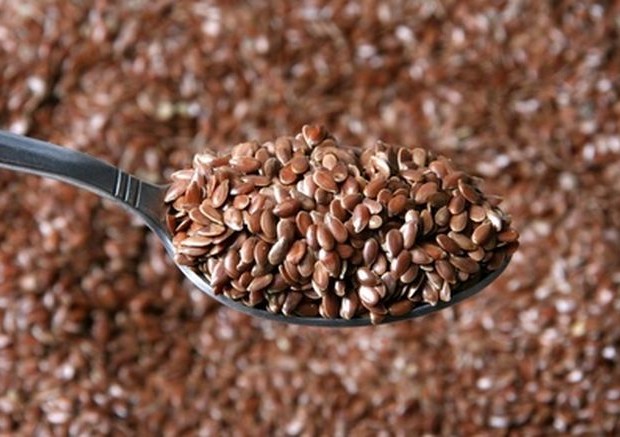 lan, Upotreba sjemenki lana, Sastav sjemenki, vitamin b, Sluz sjemenki, ljekovita svojstva, ljekovito bilje, alfa linolenske kiseline, omega 3 masne kiseline, lignin, željezo, cink, magnezij, kalcij, ispiranja crijeva , brašno od lanenog sjemena, crijevna flora, crijevna oboljenja, toksini u organizmu, lan, Upotreba sjemenki lana, lanene sjemenke, Laneno ulje, omega 3 masne kiseline, omega 3 masne kiseline, Sjemenke lana, Chia sjemenke, sjemenke, Chia sjemenke, lanene sjemenke, Sjemenke lana