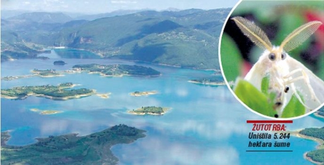 žutotrb, Herecegovačko-neretvanska županija, ramsko jezero, Uprava za šumarstvo HNŽ, žutokraj